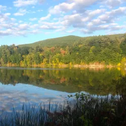 Retreat Farm - Brattleboro