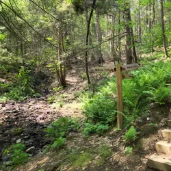 Retreat Farm - Brattleboro