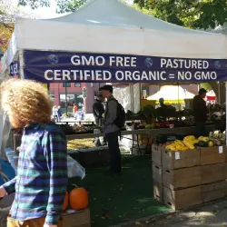 Burlington Farmers Market - Burlington