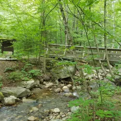 Bucklin Trail - Rutland