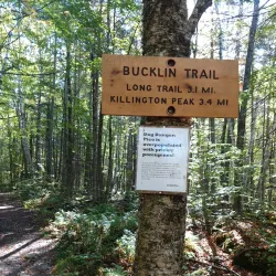Bucklin Trail - Rutland