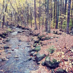 Bucklin Trail - Rutland