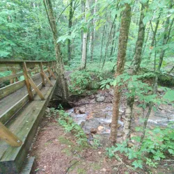 Bucklin Trail - Rutland