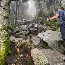 Bucklin Trail - Rutland