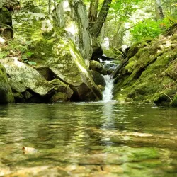 Bucklin Trail - Rutland