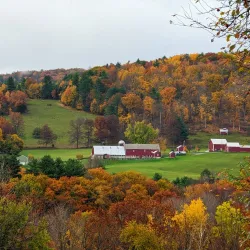 Green Mountain National Forest - Rutland