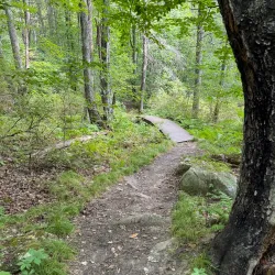 Pine Hill Park - Rutland