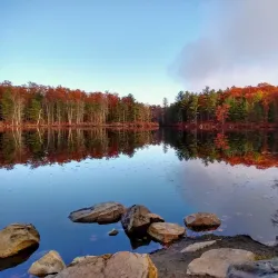 Pine Hill Park - Rutland