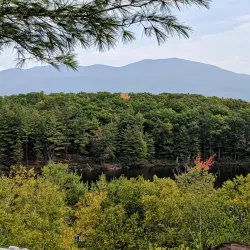 Pine Hill Park - Rutland