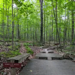 Pine Hill Park - Rutland