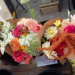 Rutland Farmers' Market - Rutland