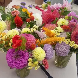 Rutland Farmers' Market - Rutland