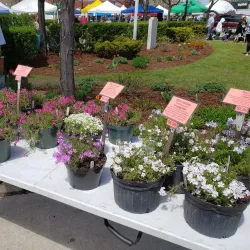 Rutland Farmers' Market - Rutland