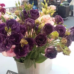 Rutland Farmers' Market - Rutland