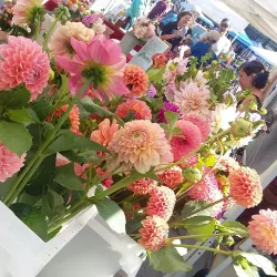 Rutland Farmers' Market - Rutland