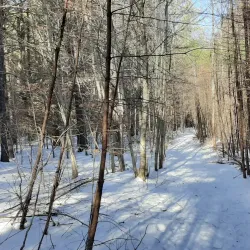Black River Trail - Springfield
