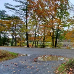 Black River Trail - Springfield