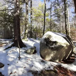 Black River Trail - Springfield