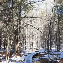 Black River Trail - Springfield