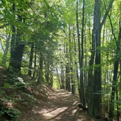 Black River Trail - Springfield