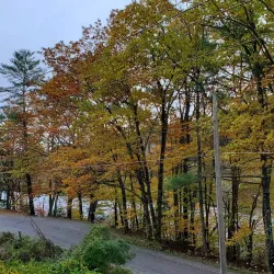 Black River Trail - Springfield