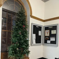 Springfield Opera House - Springfield