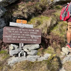 Mount Mansfield - Stowe