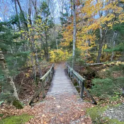Mount Mansfield - Stowe