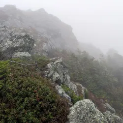 Mount Mansfield - Stowe