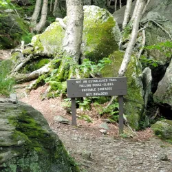 Smugglers' Notch State Park - Stowe