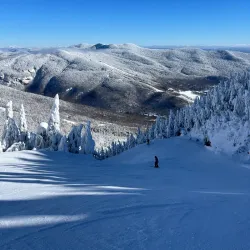 Stowe Mountain Resort - Stowe
