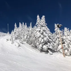 Stowe Mountain Resort - Stowe