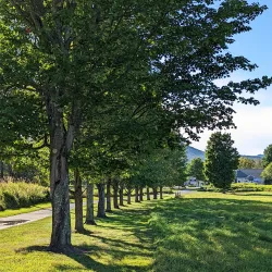 Stowe Recreation Path - Stowe