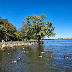 Alexandria Waterfront Park - Alexandria