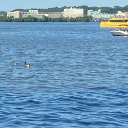 Alexandria Waterfront Park - Alexandria