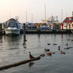 Old Town Alexandria - Alexandria