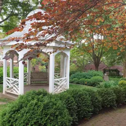 Old Town Alexandria - Alexandria