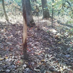 Appomattox River Trail - Appomattox