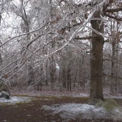Appomattox River Trail - Appomattox