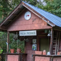 Piney Grove at Southside - Appomattox