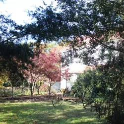 Piney Grove at Southside - Appomattox