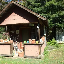 Piney Grove at Southside - Appomattox