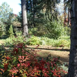 Piney Grove at Southside - Appomattox