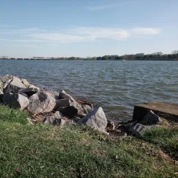 Long Bridge Park - Arlington