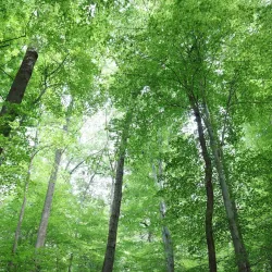 Potomac Overlook Regional Park - Arlington