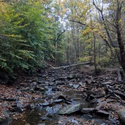 Potomac Overlook Regional Park - Arlington