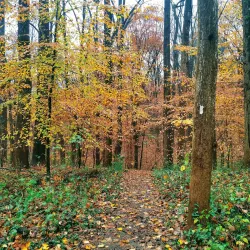 Potomac Overlook Regional Park - Arlington