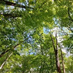 Potomac Overlook Regional Park - Arlington