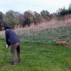 Ashburn Golf Club - Ashburn