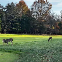 Ashburn Golf Club - Ashburn